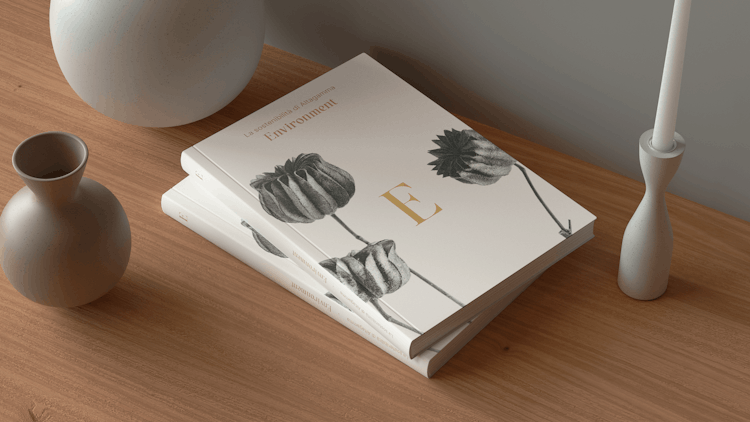 nascent altagamma project case history cover design book editorial publication